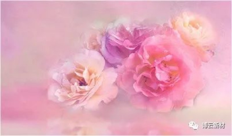 ŦԼ����588888��·�������(�й�)���޹�˾